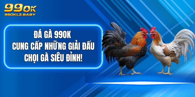 Đá Gà 99OK - Cung Cấp Những Giải Đấu Chọi Gà Siêu Đỉnh!