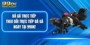 Đá Gà Trực Tiếp - Theo Dõi Trực Tiếp Đá Gà Ngay Tại 99OK!