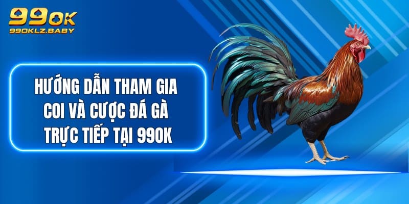 Hướng dẫn tham gia coi và cược đá gà trực tiếp tại 99OK