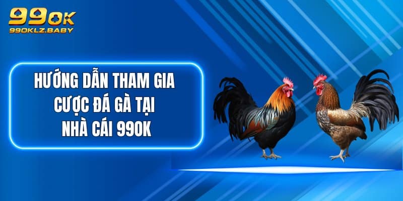 Hướng dẫn tham gia cược Đá Gà tại nhà cái 99OK